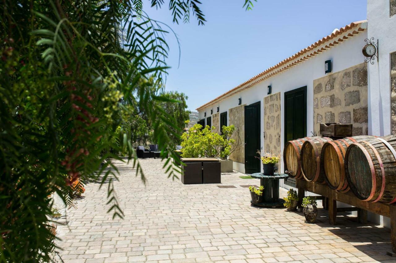 La Malvasia Arico Viejo Ngoại thất bức ảnh